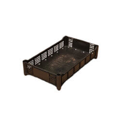 BERRIES BERRYTRAY L2 NEGRO WENCO